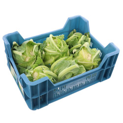 CHOU FLEUR PETIT 6PCS